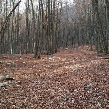 Semesterpark Oasi Del Sangro *