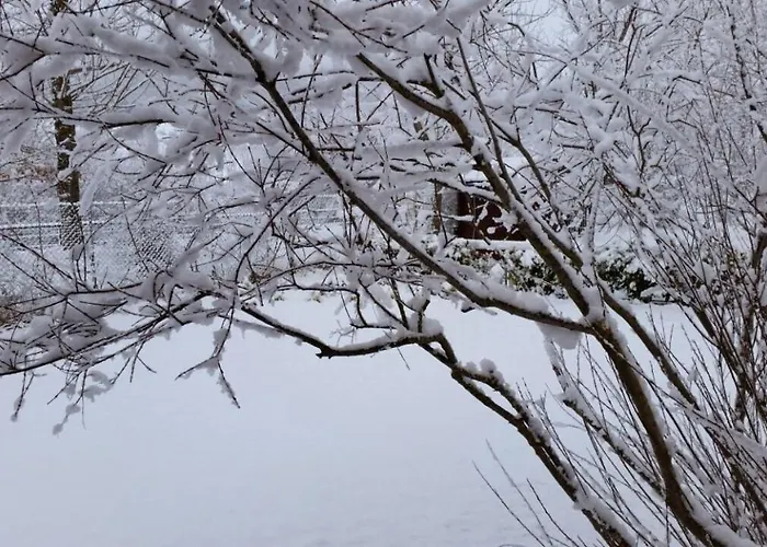 Oasi Del Sangro Parco vacanze *