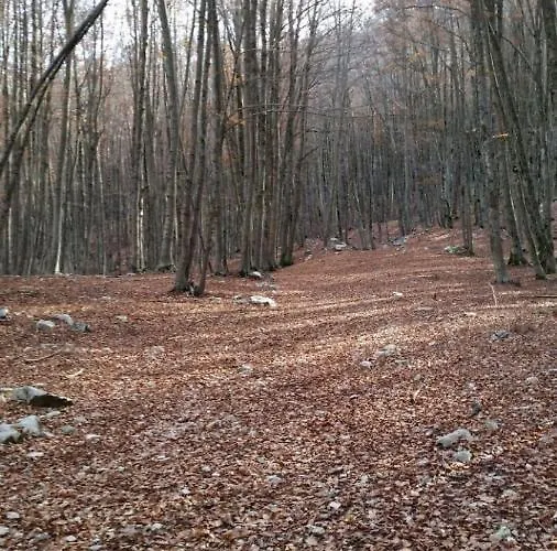 Feriepark Oasi Del Sangro *